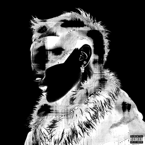 校园迷情综合自拍网
