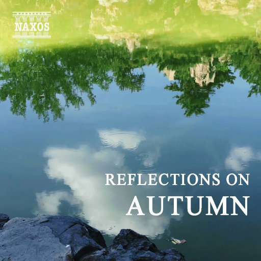 校园迷情综合自拍网
